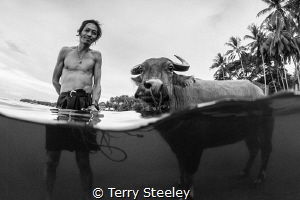'Farmer and bull'. Dumaguete, Philippines.
—
Subal unde... by Terry Steeley 